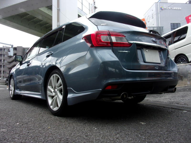 LEVORG