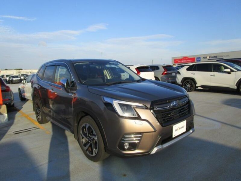 FORESTER