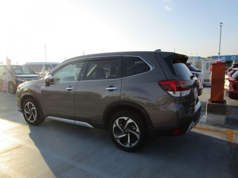 FORESTER