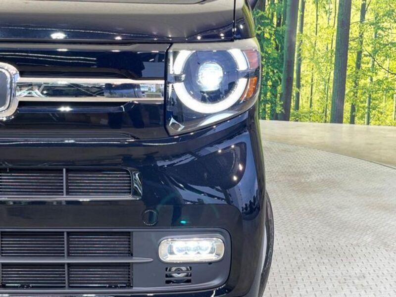 N-VAN