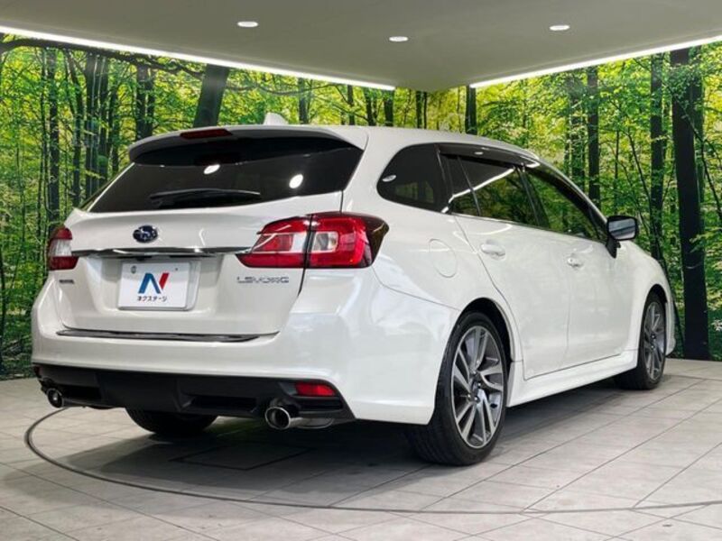 LEVORG