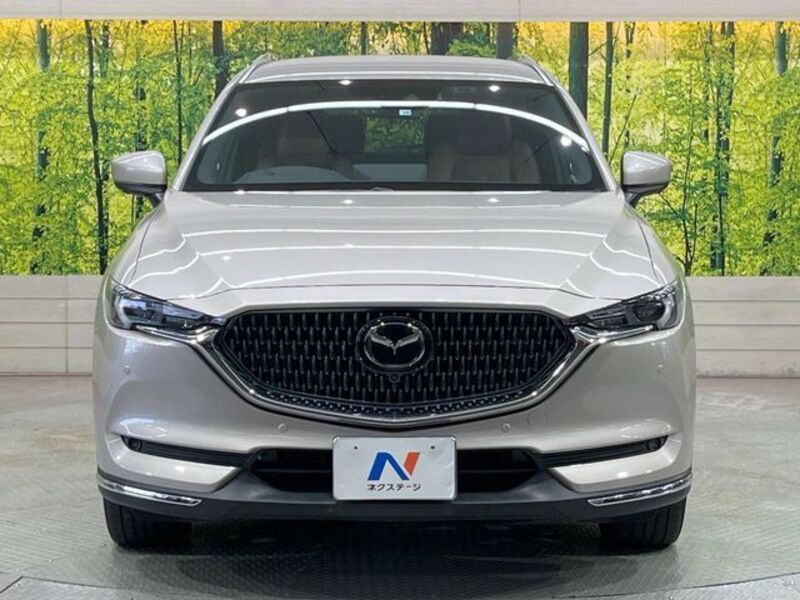 CX-8