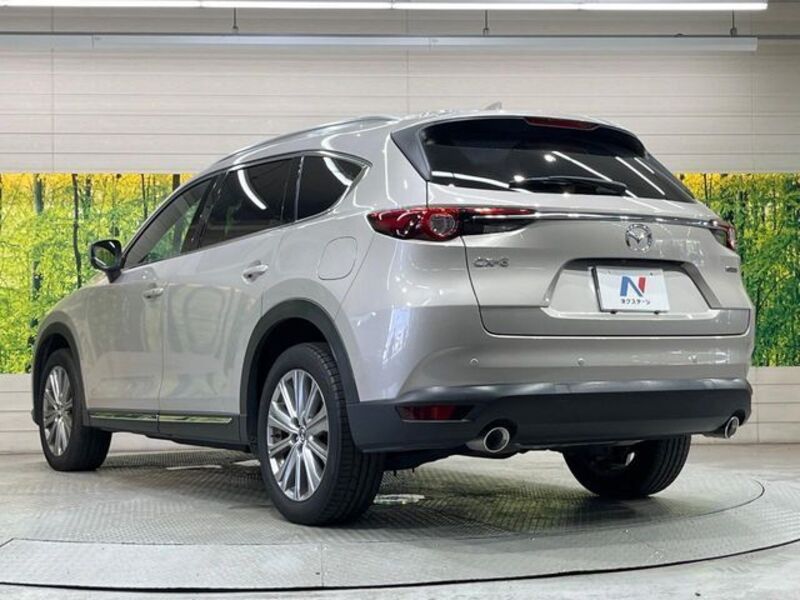 CX-8