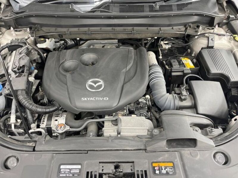 CX-8
