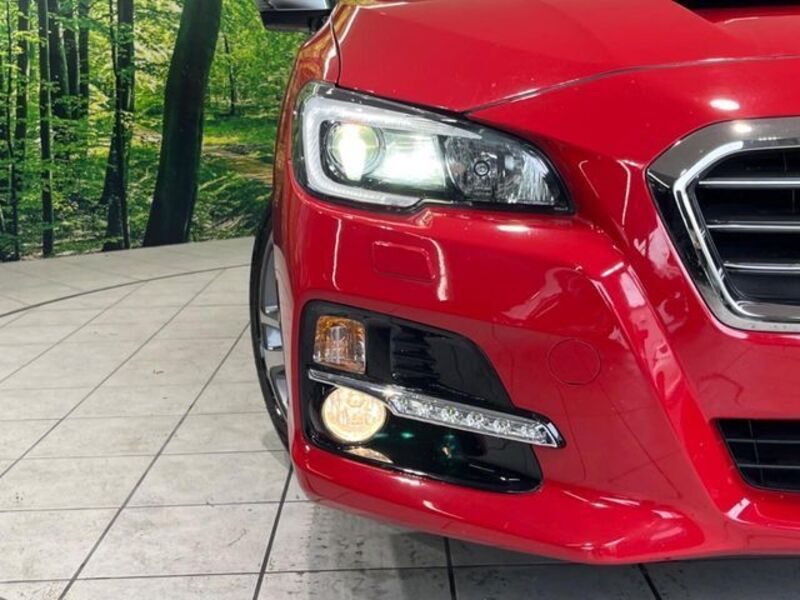LEVORG