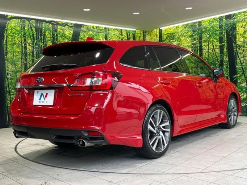 LEVORG
