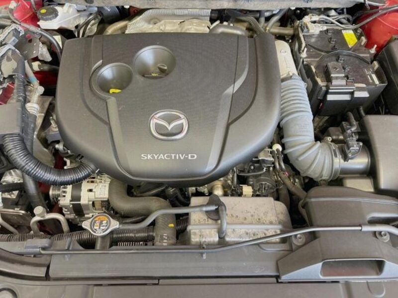 CX-8