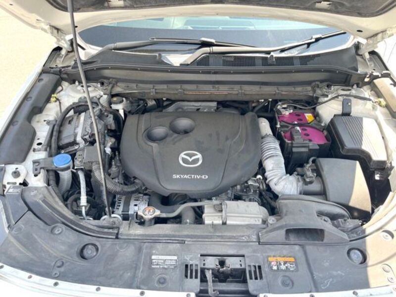CX-8