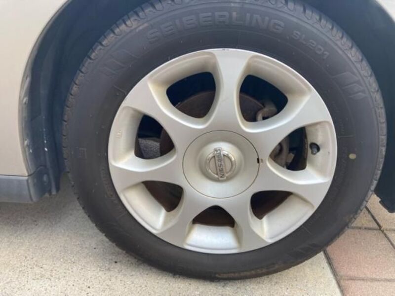 BLUEBIRD SYLPHY
