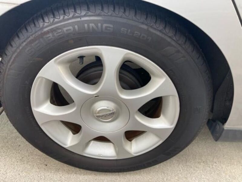 BLUEBIRD SYLPHY
