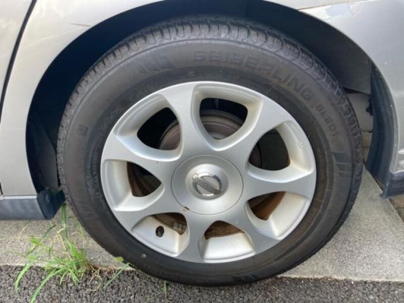 BLUEBIRD SYLPHY