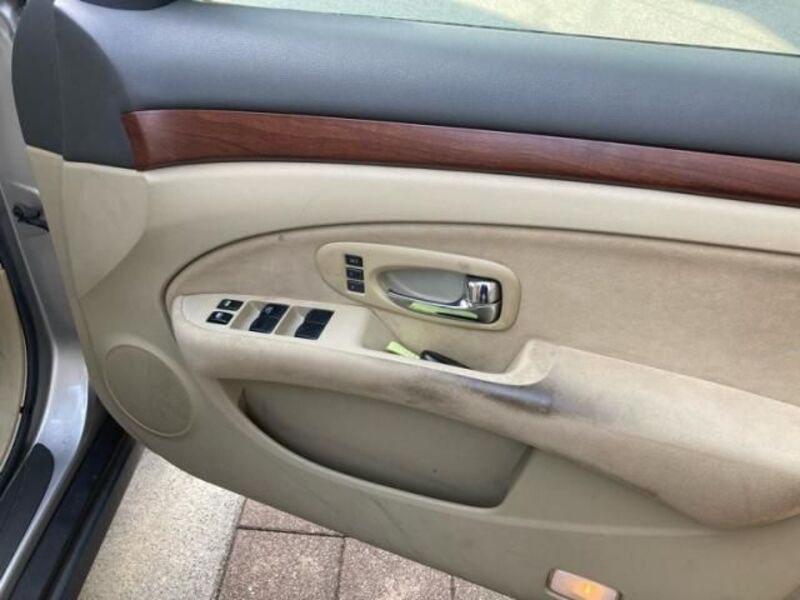 BLUEBIRD SYLPHY