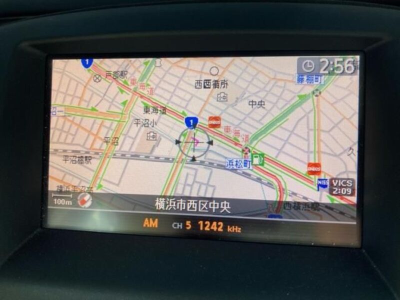 BLUEBIRD SYLPHY
