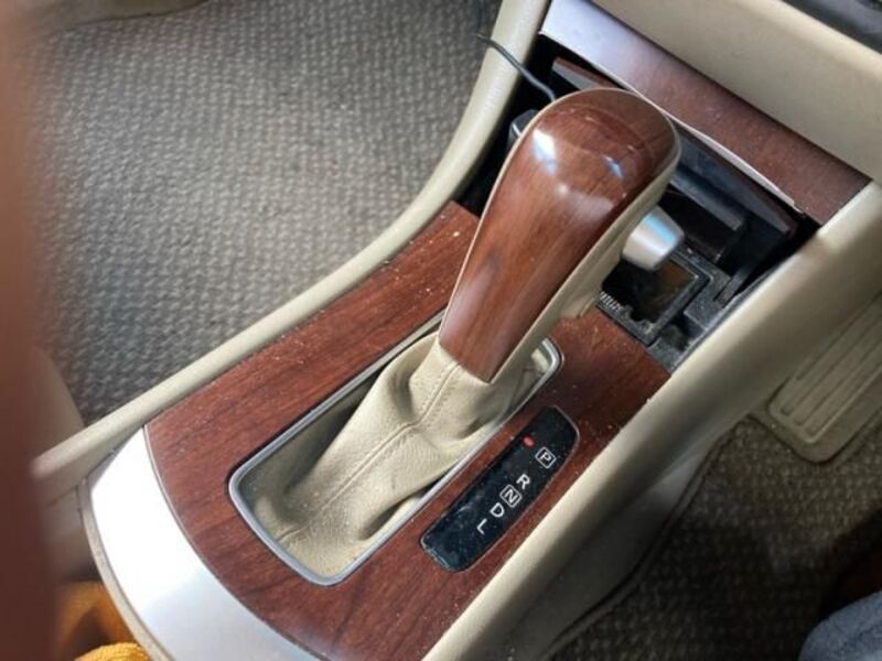 BLUEBIRD SYLPHY
