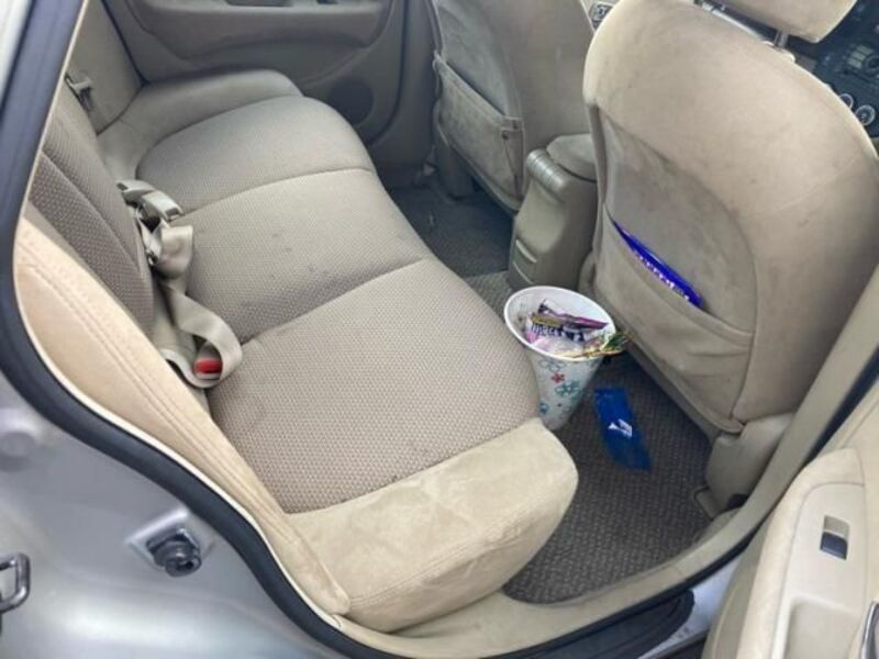 BLUEBIRD SYLPHY