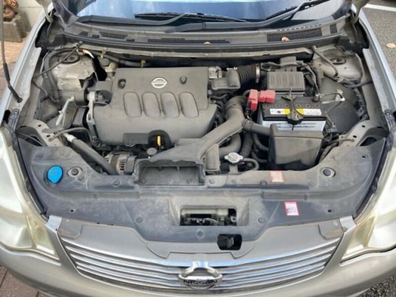 BLUEBIRD SYLPHY