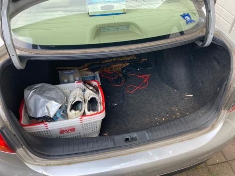 BLUEBIRD SYLPHY