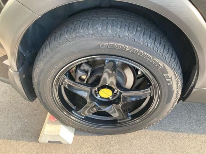 XV