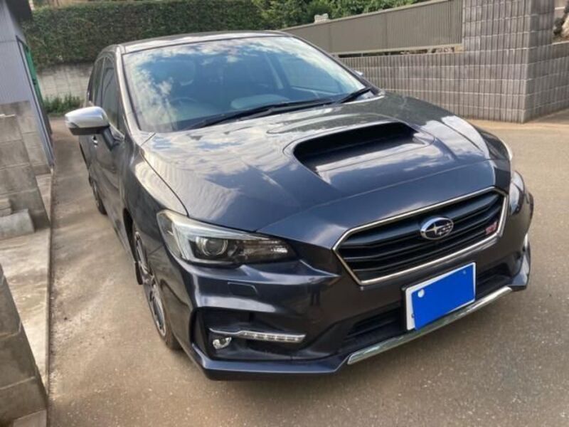 LEVORG