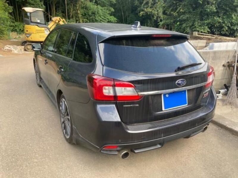 LEVORG