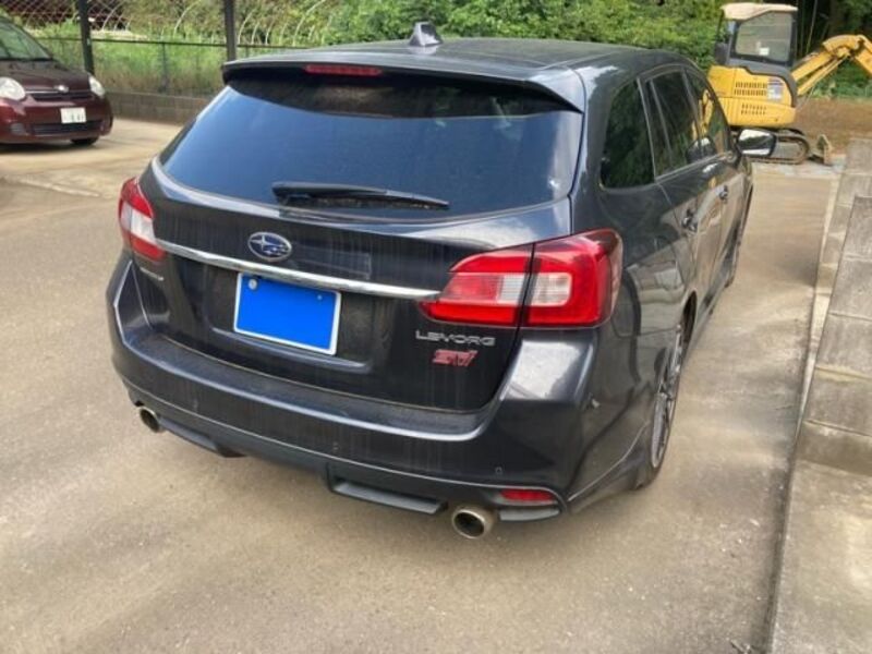 LEVORG
