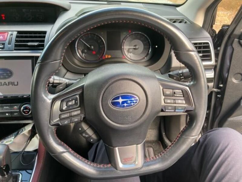 LEVORG