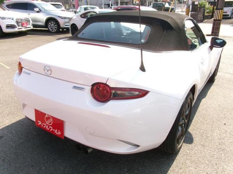 ROADSTER