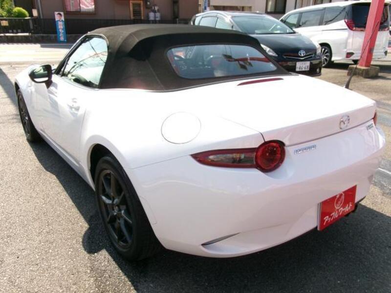 ROADSTER