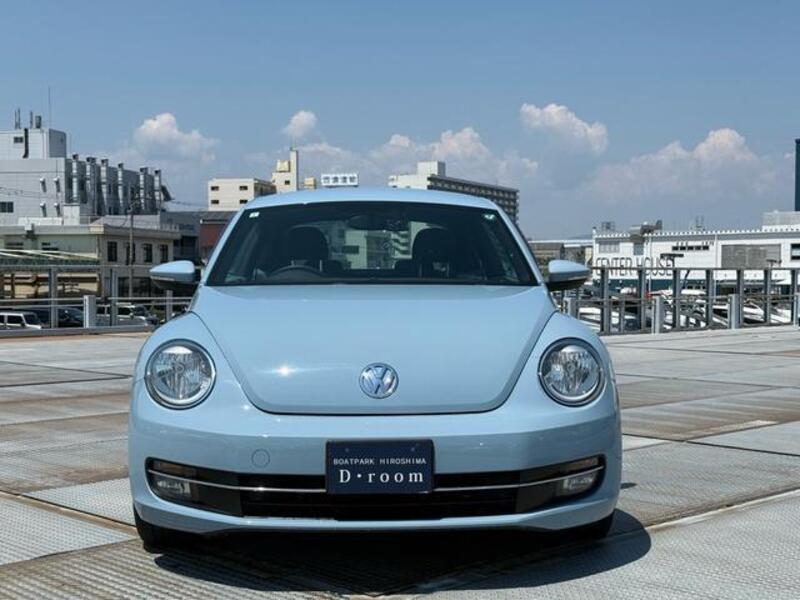 THE BEETLE
