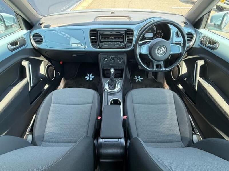 THE BEETLE