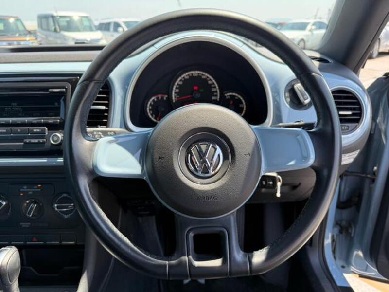 THE BEETLE