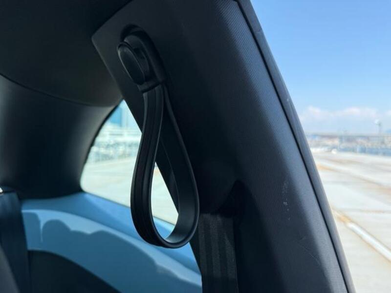 THE BEETLE