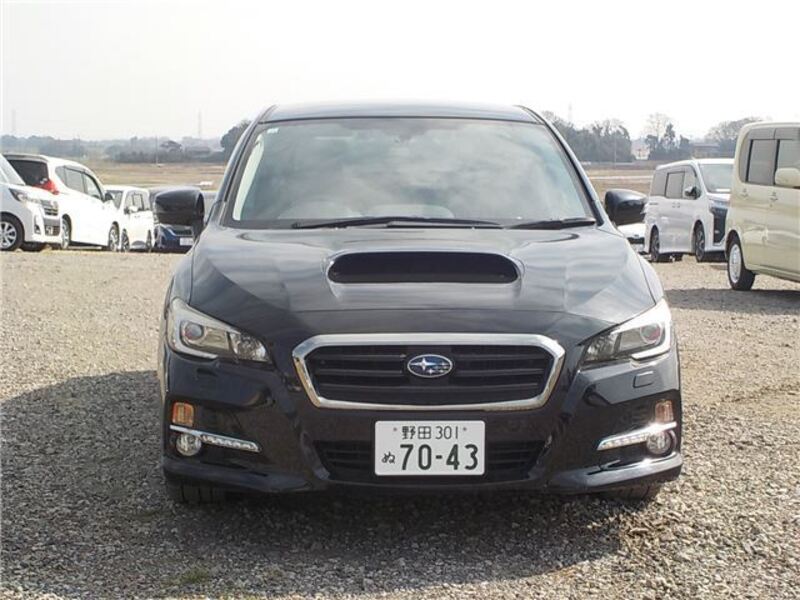 LEVORG
