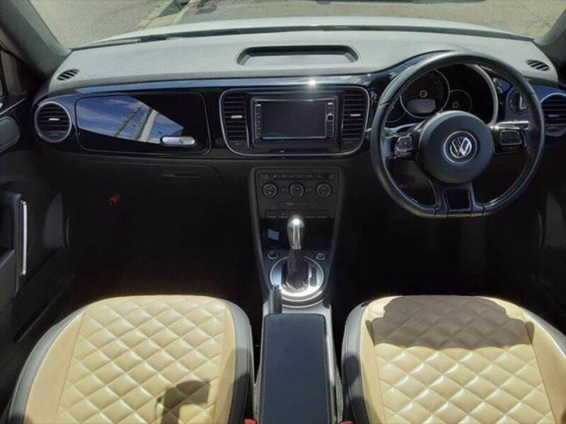 THE BEETLE