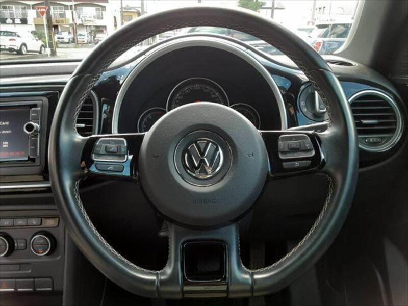 THE BEETLE