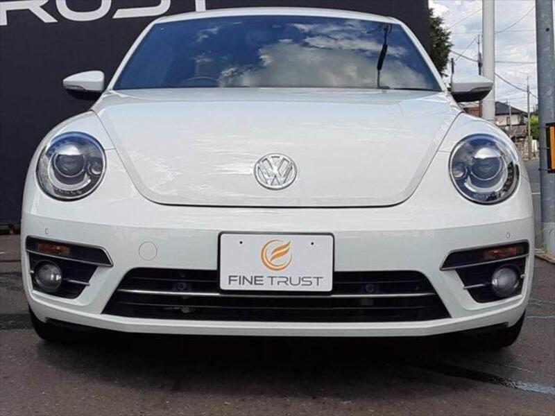 THE BEETLE