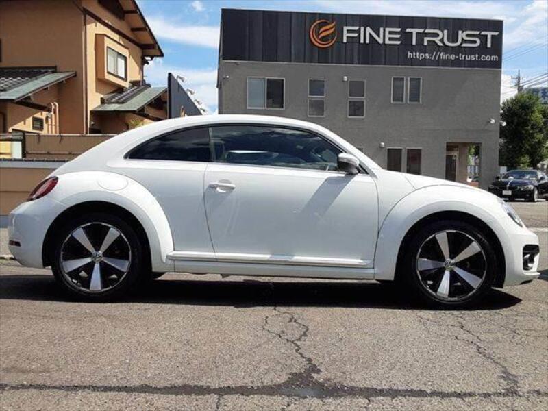 THE BEETLE