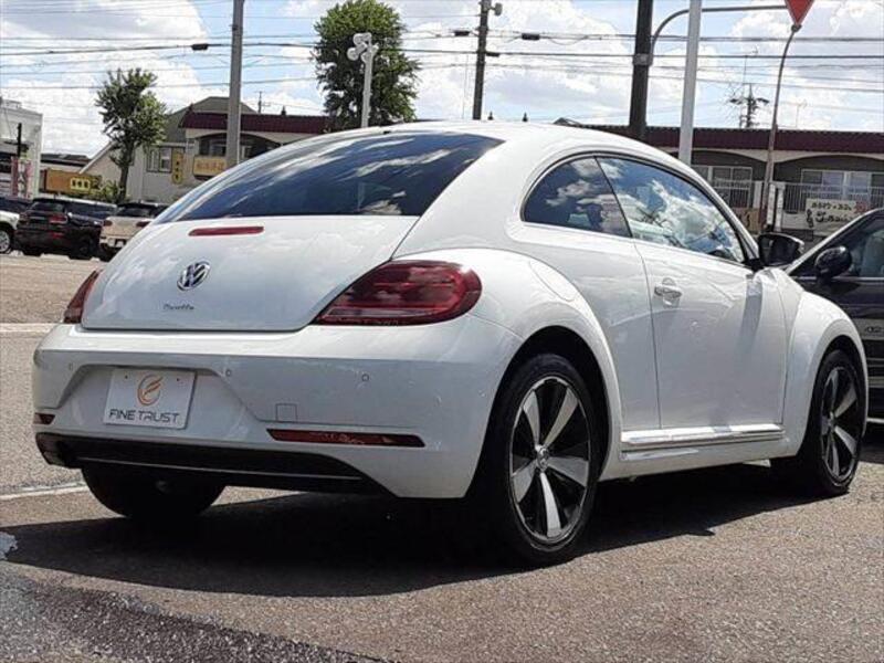 THE BEETLE