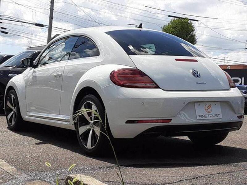 THE BEETLE