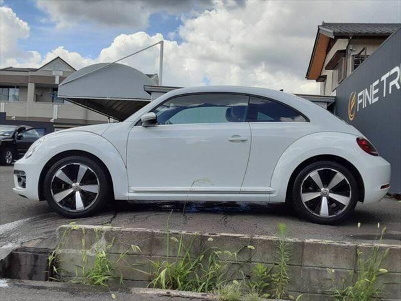 THE BEETLE