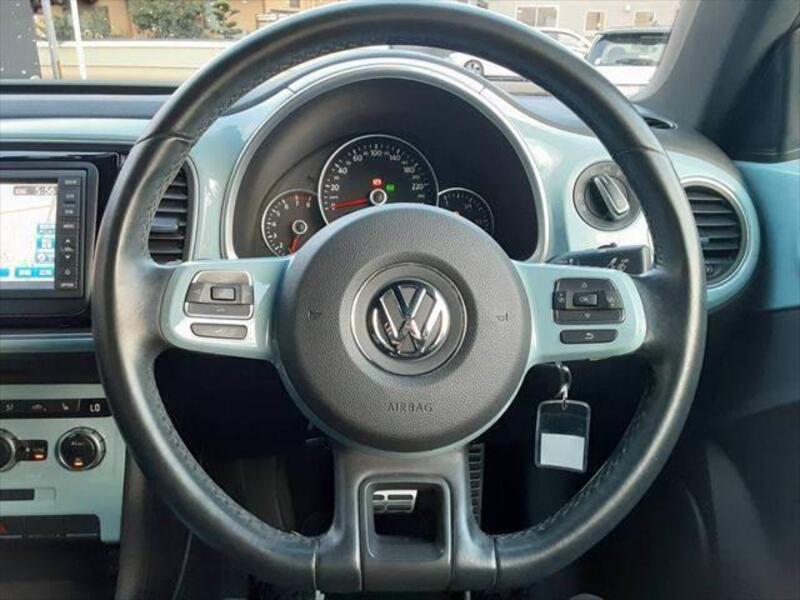 THE BEETLE