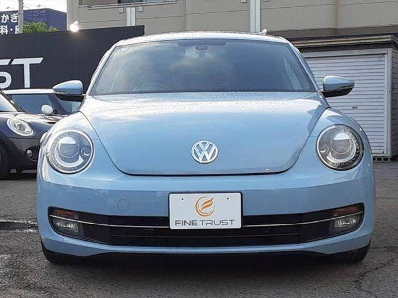 THE BEETLE
