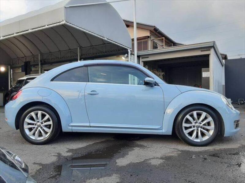 THE BEETLE