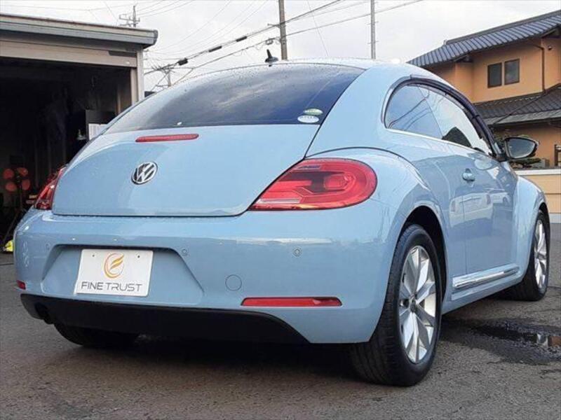 THE BEETLE