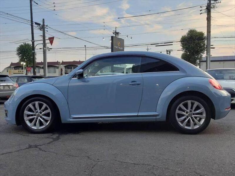 THE BEETLE