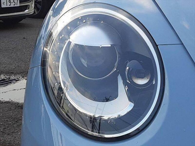 THE BEETLE