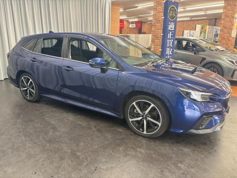 LEVORG