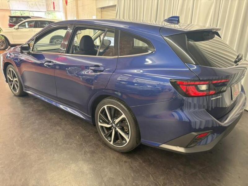 LEVORG