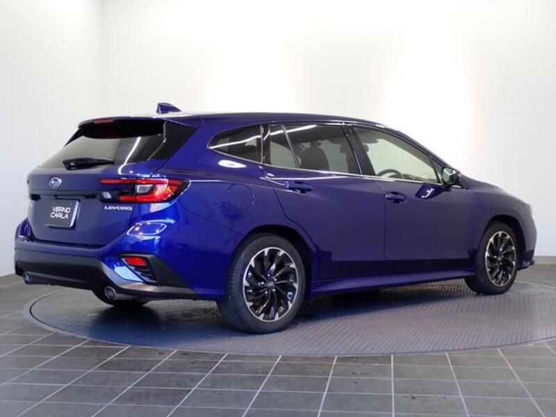 LEVORG