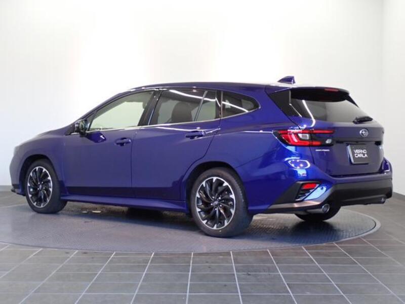 LEVORG
